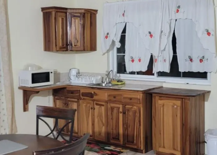 Wizzy White River Apartment Ocho Rios