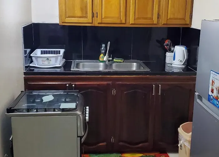 Apartment Wizzy White River Ocho Rios