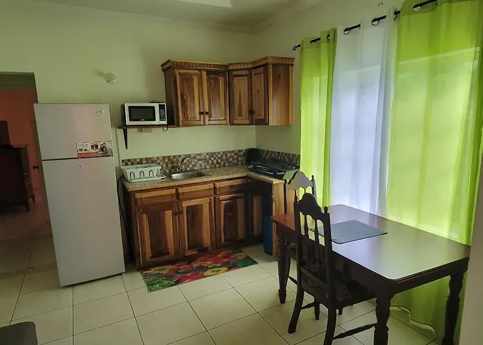 Apartment Wizzy White River Ocho Rios
