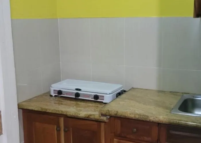Apartment Wizzy White River Ocho Rios
