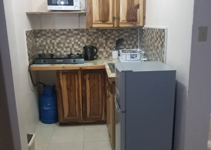 Wizzy White River Apartment