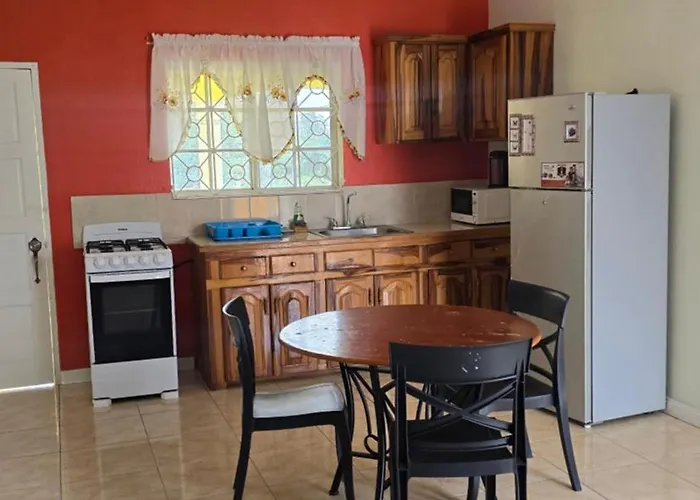 Wizzy White River Apartment